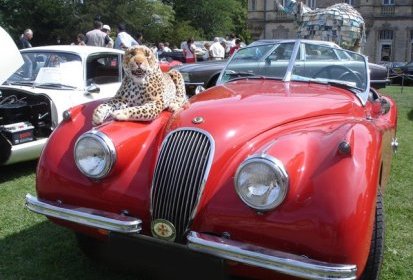 XK120 OTS « roadster »