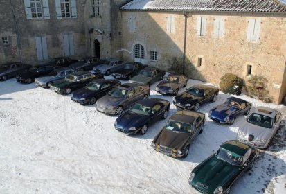 Les « félins » au soleil