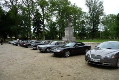 Les félins à Sorèze