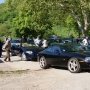 Félins au parking