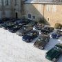 Les « félins » au soleil