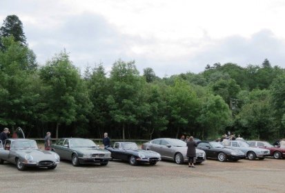 Félins à Lampy