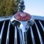 MK 2 3.4L calandre
