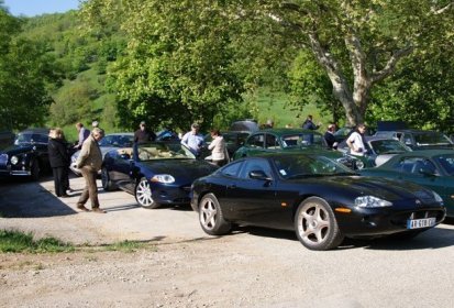 Félins au parking
