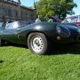 D type replica « short noze »