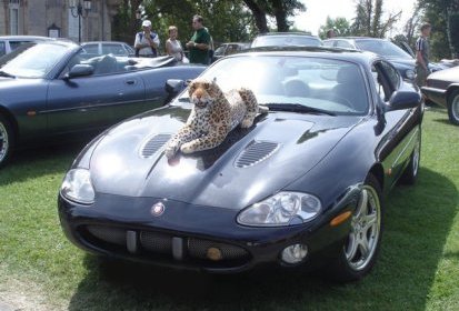 XKR