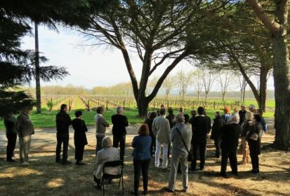 Explications détaillées sur le vignoble et les cépages par Nicolas (...)