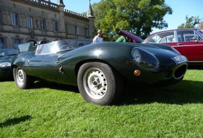 D type replica « short noze »